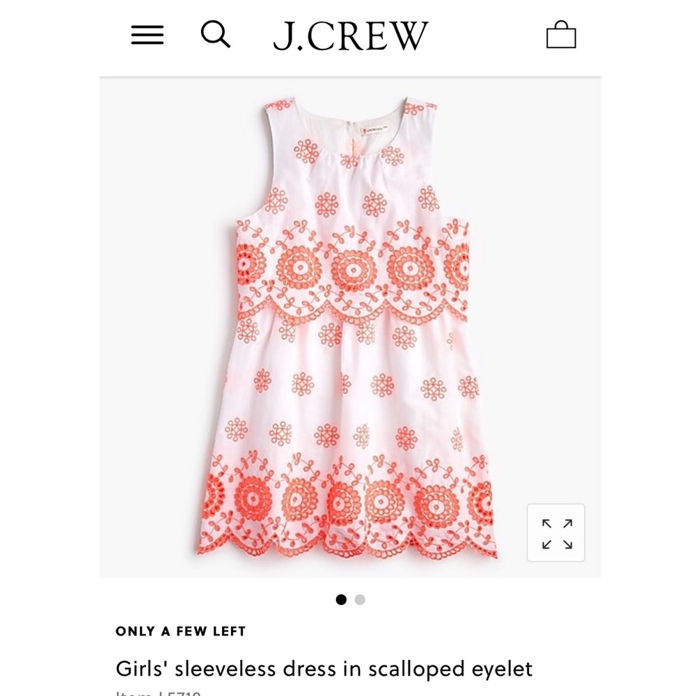 J.CREW Girls dress